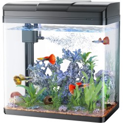 Acuario de vidrio 11L con filtro, bomba de aire y luz LED