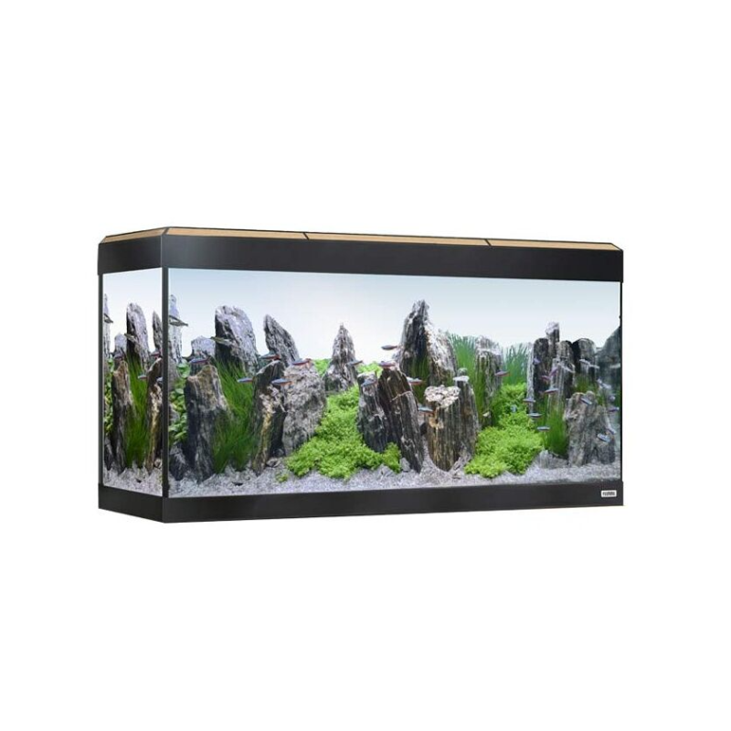Acuario de vidrio grande – 120 litros