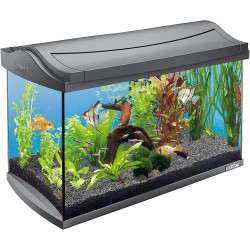 Acuario de vidrio - 60L