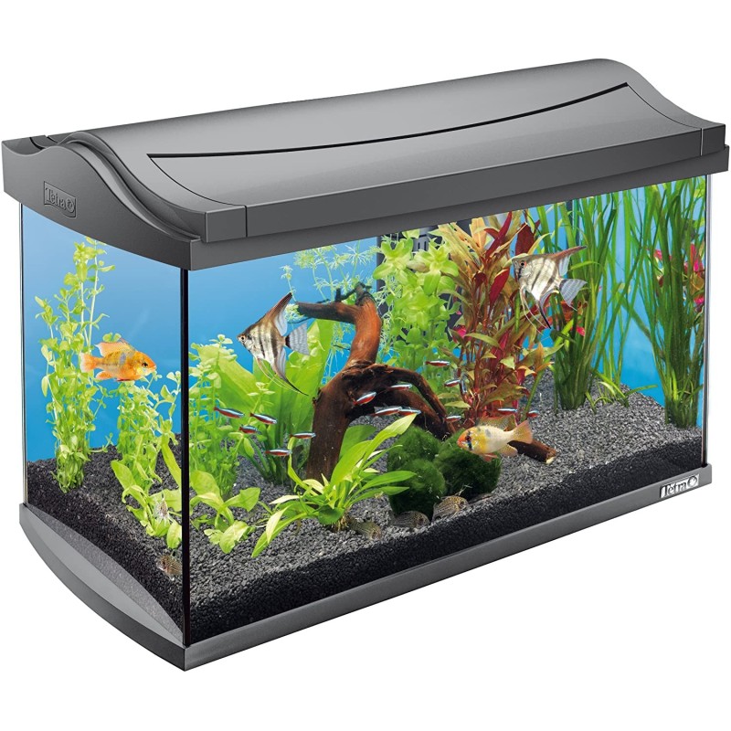 Acuario de vidrio - 60L