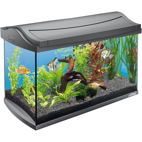 Acuario de vidrio - 60L