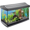 Acuario de vidrio - 60L
