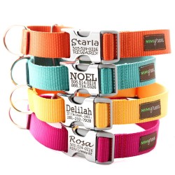 Collar de nylon ajustable con cierre de seguridad
