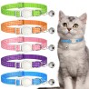 Collar ajustable para gatos